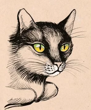 Laying cat Stock Illustration