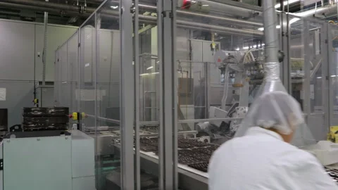 Laying chocolates on the conveyor line by a complex mechanism and the work of Stock Footage 195829866
