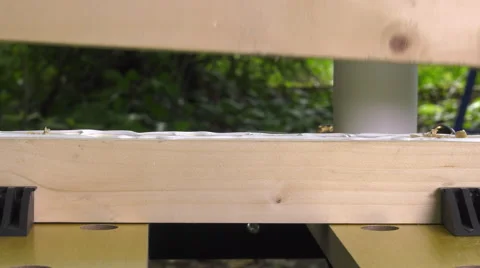 Laying clamp to join two wood glued Video stock 63506400