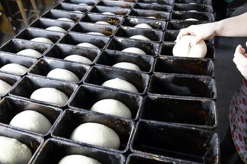 Laying the dough in the molds for future bread. Stock Photos