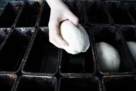 Laying the dough in the molds for future bread. Stock Photos