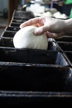 Laying the dough in the molds for future bread. Stock Photos