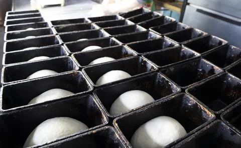 Laying the dough in the molds for future bread. Stock Photos