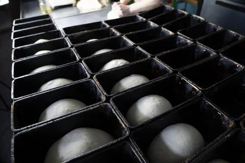 Laying the dough in the molds for future bread. Stock Photos