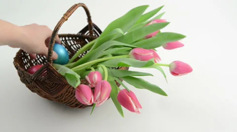 Laying easter eggs in basket with bunch of pink tulips Stockbeeldmateriaal 34055755