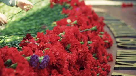 Laying flowers to the eternal fire Stock Footage 110968930