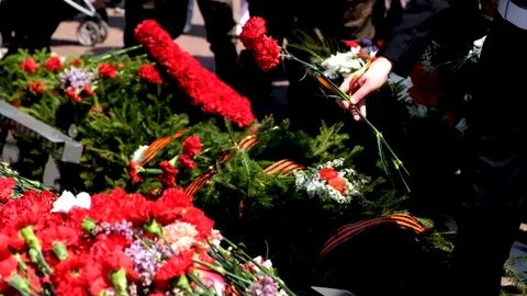 Laying flowers at the memorial Stock Footage 111512976