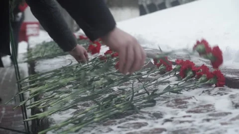 Laying flowers in winter, memory, carnations Stock Footage 280969127