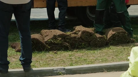 Laying Fresh Sod on Grass for Improving Landscaping Aesthetics and Environment Stock Footage 280689307