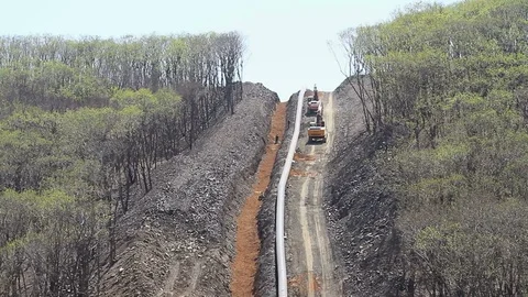 Laying a gas main in the forest in the Far East of Russia Stock Footage 77787203