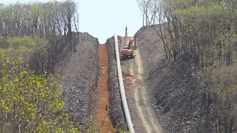 Laying a gas main in the forest in the Far East of Russia Stock Footage 77787271