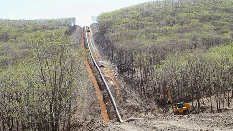 Laying a gas main in the forest in the Far East of Russia Stock Footage 77787428