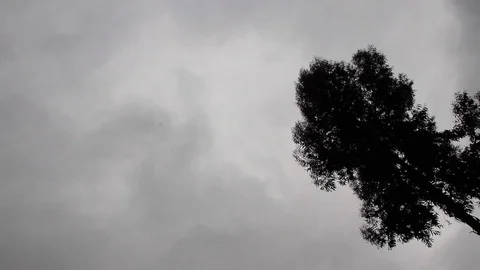 Laying on the ground staring at the slow rotating sky and tree. Stock Footage 120734750