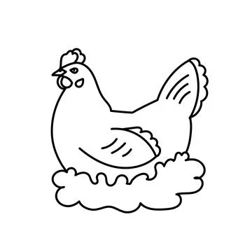 Laying hen in nest sketch vector. Farm chicken drawn in vintage eco, organic Stock Illustration