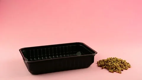 Laying the linen mat in a plastic container for sowing micro-greens Stock Footage 132962045