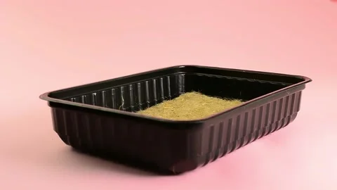 Laying the linen mat in a plastic container for sowing micro-greens Stock Footage 132962338