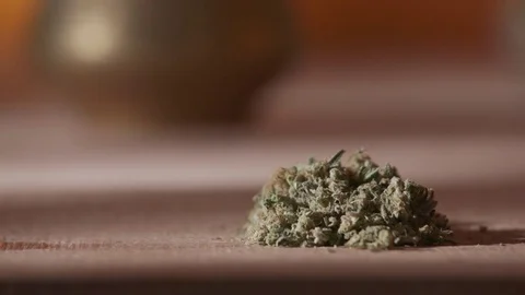 Laying Marijuana on Rolling Paper (ECU) 스톡 동영상 83020170