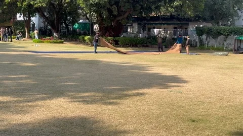 Laying of matting for prayer Stock Footage 324515200