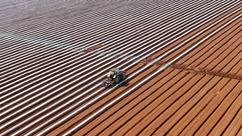 Laying Plastic Mulch Stock Footage 125845437