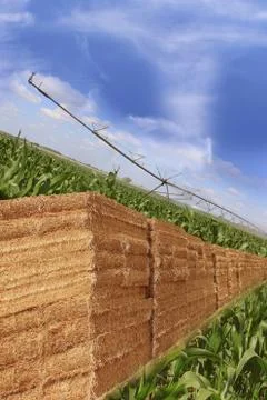Layout for agriculture Foto stock