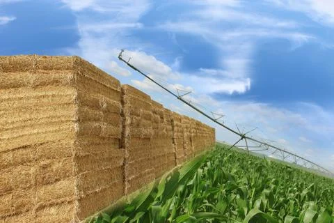 Layout for agriculture Stock Photos