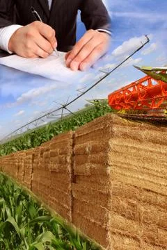 Layout for agriculture Stock Photos