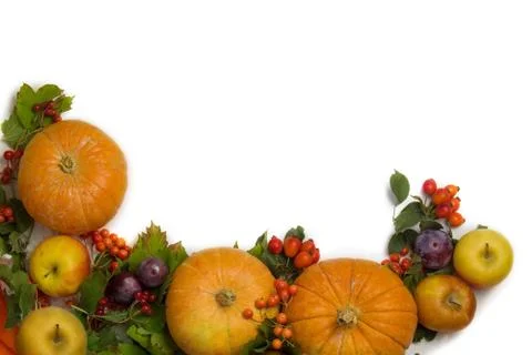 Layout of the autumn composition. Pumpkins, fallen leaves, apples, red berrie Stock Photos