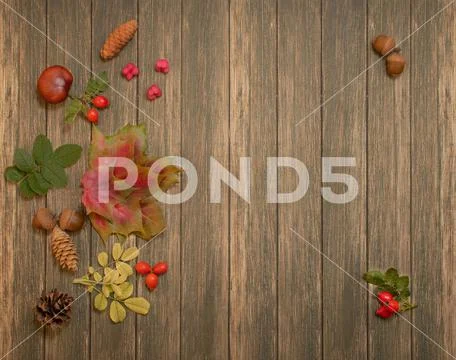 Layout on the autumn theme good morning Stock Photos