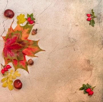 Layout on the autumn theme Stock Photos