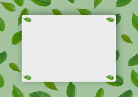 Layout background. Stock Photos