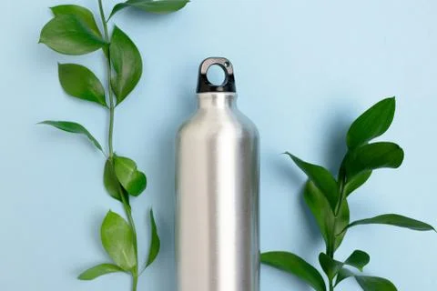 Layout of bottle and ruscus branches. Stock Photos