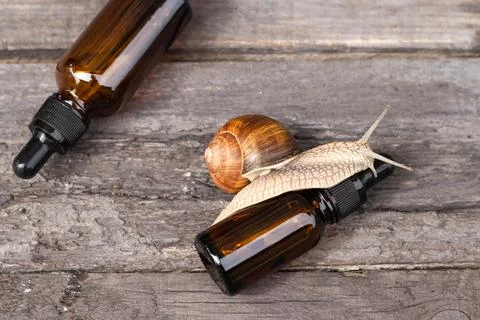Layout with bubbles of cosmetics with snail mucus, top view, concept eco cosm Stock Photos