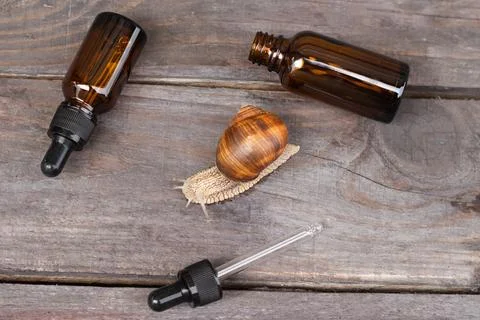 Layout with bubbles of cosmetics with snail mucus, top view, concept eco cosm Stock Photos