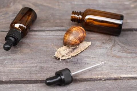 Layout with bubbles of cosmetics with snail mucus, top view, concept eco cosm Stock Photos