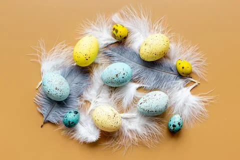 Layout of colorful Easter eggs and birds feather, top view Stock Photos