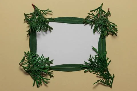 Layout concept create from natural leaves and branches Stock Photos