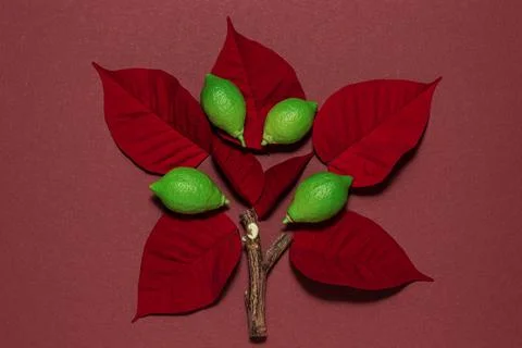 Layout concept create from natural leaves and branches Stock Photos