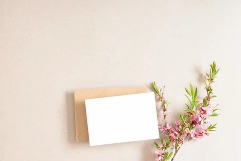 The layout consists of a kraft envelope with blank paper and a delicate branch Foto stock
