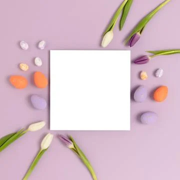 Layout of easter eggs and flowers on a purple pastel background. Stock Photos