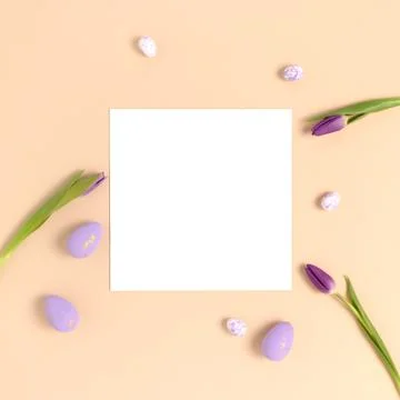 Layout of easter eggs and flowers on a beige background. Stock Photos