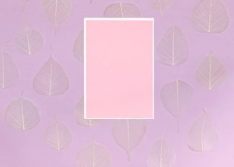 Layout with an empty postcard on a lilac background with dry leaves, vertically Stock Photos