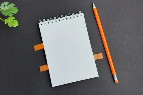 Layout. Gray background. Notepad, pencil, sticks in a notebook, green plant. The Stock Photos
