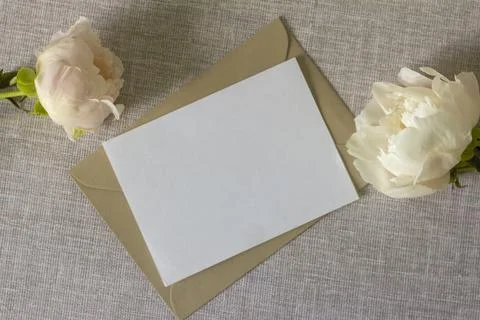 The layout of a greeting or invitation card with peony flowers on a gray tabl Stock Photos