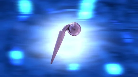 The layout of the hip joint rotates Stock Footage 87120382