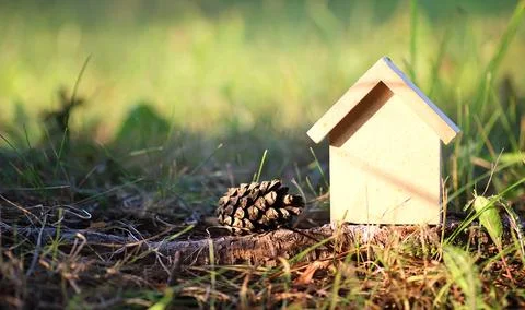 Layout of the house on the grass Stock Photos