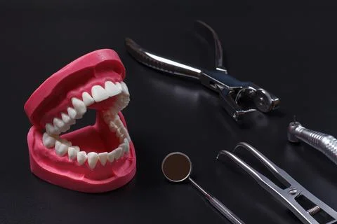 Layout of a human jaw, the rubber dam forcep and the dental hole punch Stock Photos