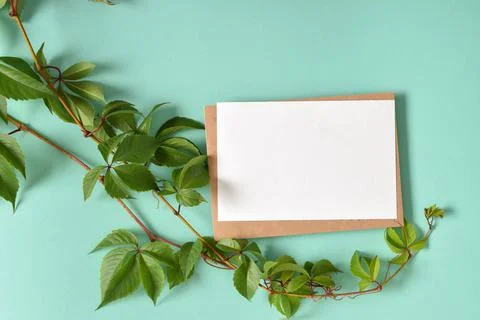 The layout of a kraft envelope on a light blue background with a branching br Stock Photos