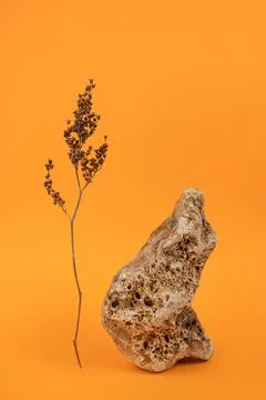 Layout made of from big stone and dry flower on orange background. Front view Stock Photos