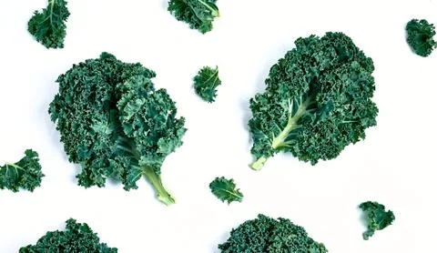 Layout made of kale. Flat lay. Food concept. Stock Photos