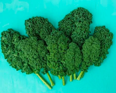 Layout made of kale. Flat lay. Food concept. Foto stock